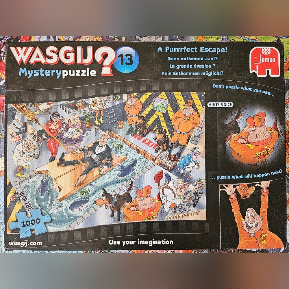 Wasgij Mystery Puzzle 13